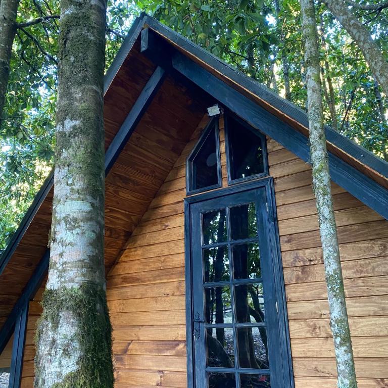 Coigüe Lodge - Villarrica - desayuno incluido - Suite Superior con cama extragrande - 2