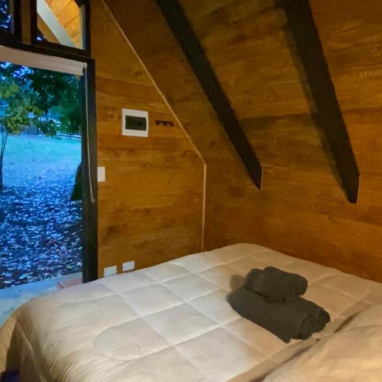 Coigüe Lodge - Villarrica - desayuno incluido - Suite Superior con cama extragrande - 4