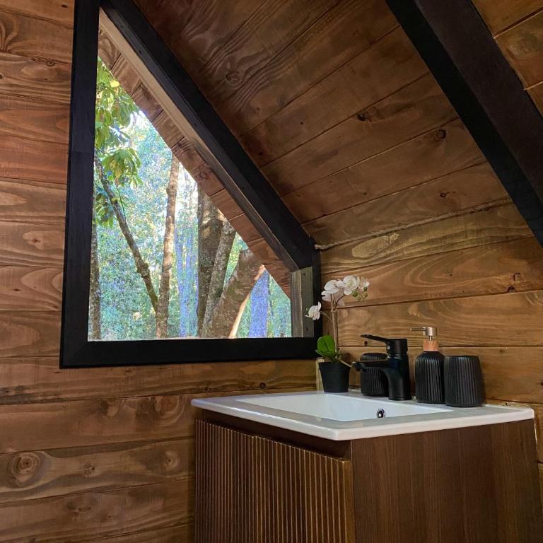 Coigüe Lodge - Villarrica - desayuno incluido - Suite Superior con cama extragrande - 8