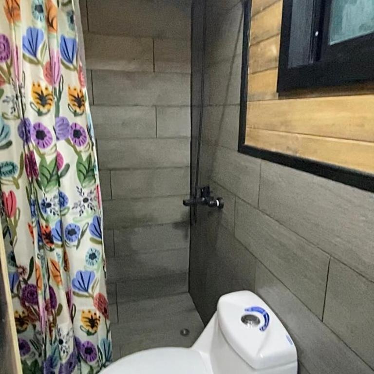 Coigüe Lodge - Villarrica - desayuno incluido - Suite Superior con cama extragrande - 10