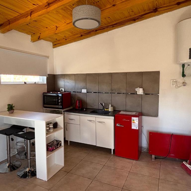 Laguna de los Cisnes - Apartamento - 8