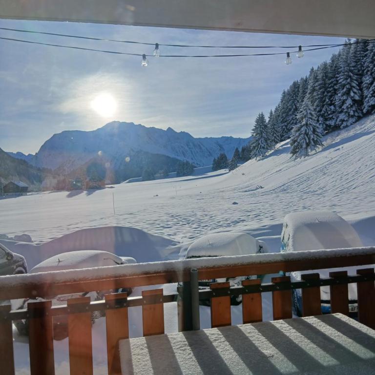 Studio en station de ski familiale, vue sur les montagnes - Studio - 21