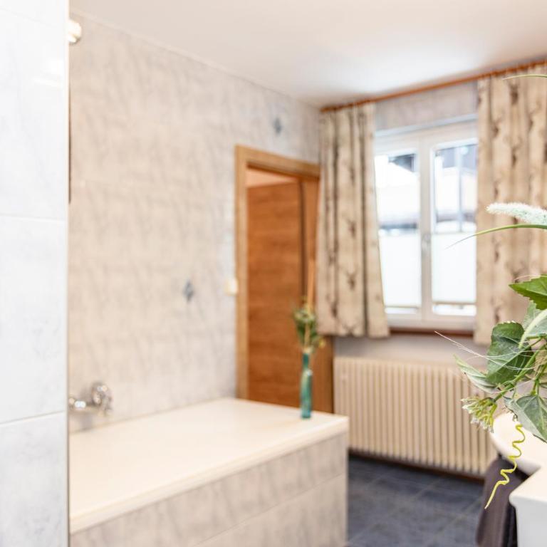 Neuhof Appartements - Studio-Apartment mit 1 Doppelbett - 9
