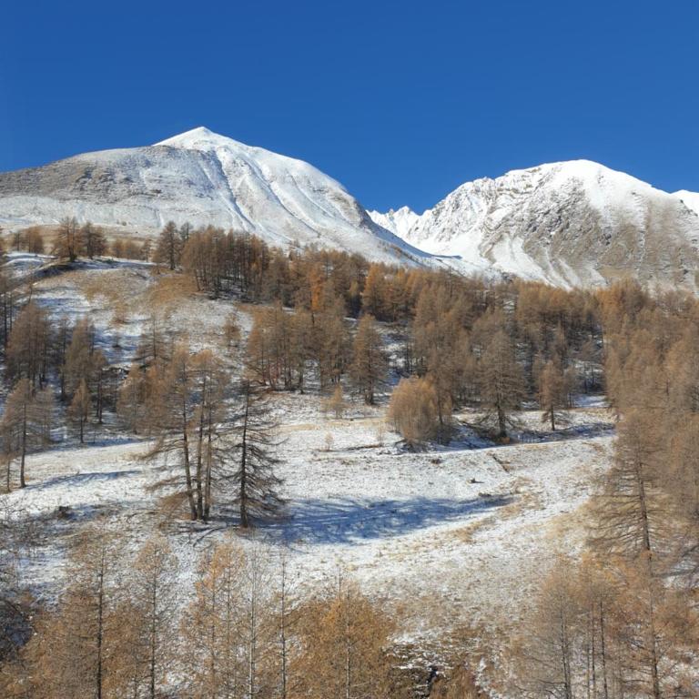 grand studio 28 m2 tout confort au pieds des pistes - Apartment mit 2 Schlafzimmern - 4