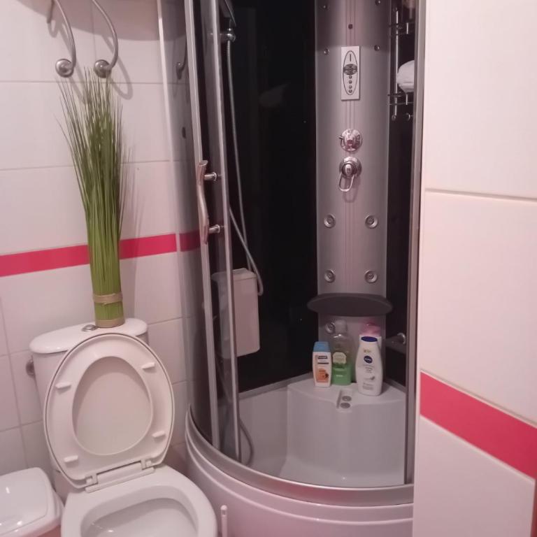 Apartman Nika - Apartman sa 1 Spavaćom Sobom - 10