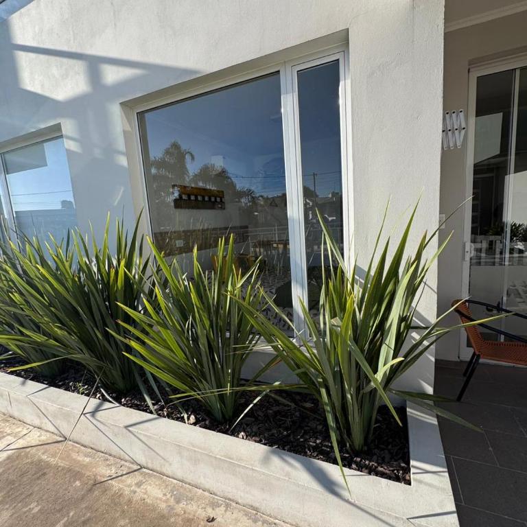 Departamento Termas -PLANTA BAJA- Agua de Vida - Apartamento de 2 dormitorios - 10