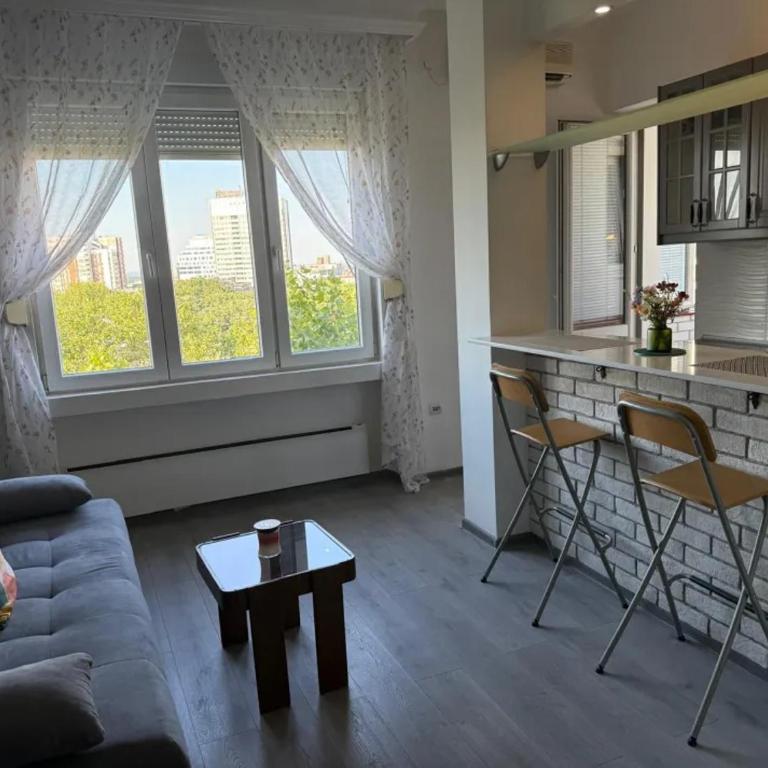 Modern Cosy apartment Vračar - One-Bedroom Apartment - 1