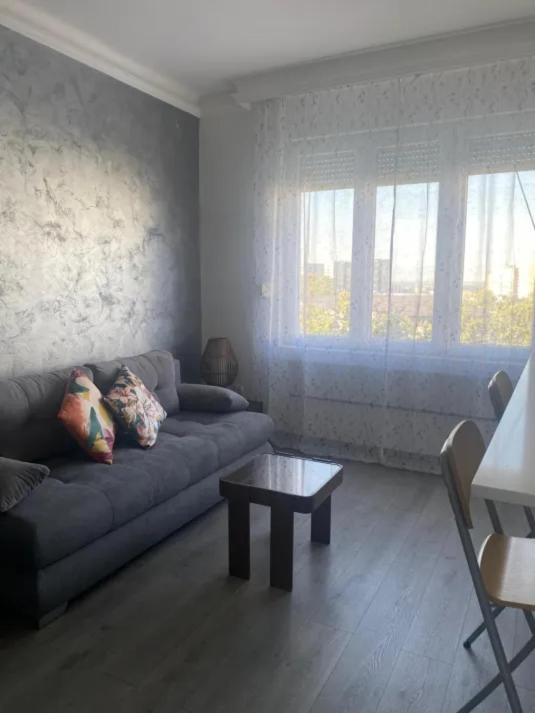 Modern Cosy apartment Vračar - One-Bedroom Apartment - 8