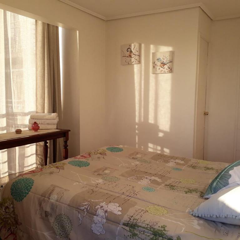 Great view, space and tranquility in downtown Santiago - Three-Bedroom Apartment - 13