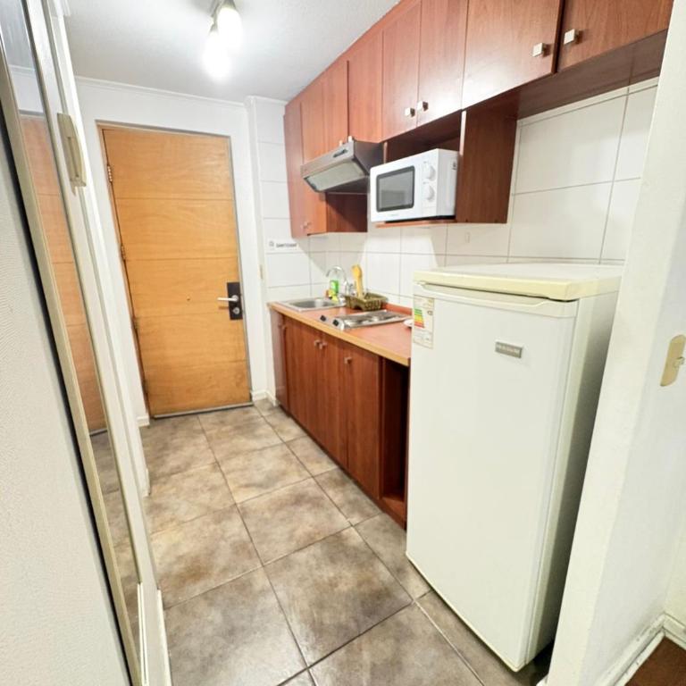 Santiago centro #2 - One-Bedroom Apartment - 5