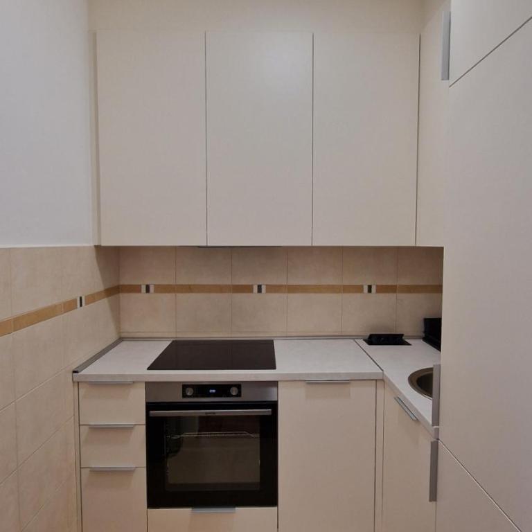 Maxim Apartment Podgorica - Apartman sa 1 Spavaćom Sobom - 6