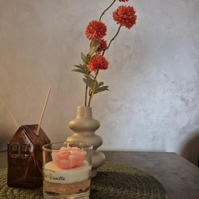 Kamellia - Apartman sa 1 Spavaćom Sobom - 8