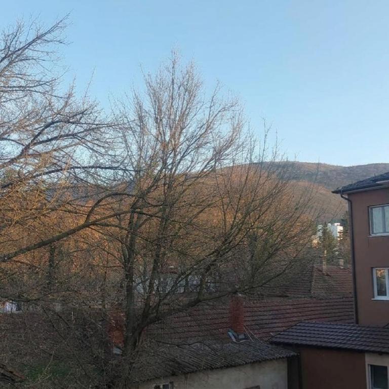 Park 1 - Apartman sa 1 Spavaćom Sobom - 12