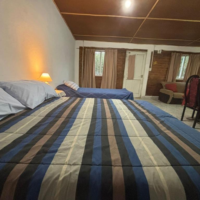 Lo de Celia - Apartamento de 1 dormitorio - 7