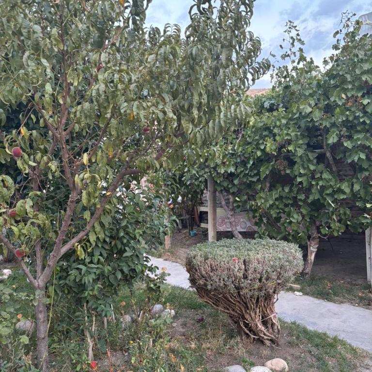 Lo de Celia - Apartamento de 1 dormitorio - 8