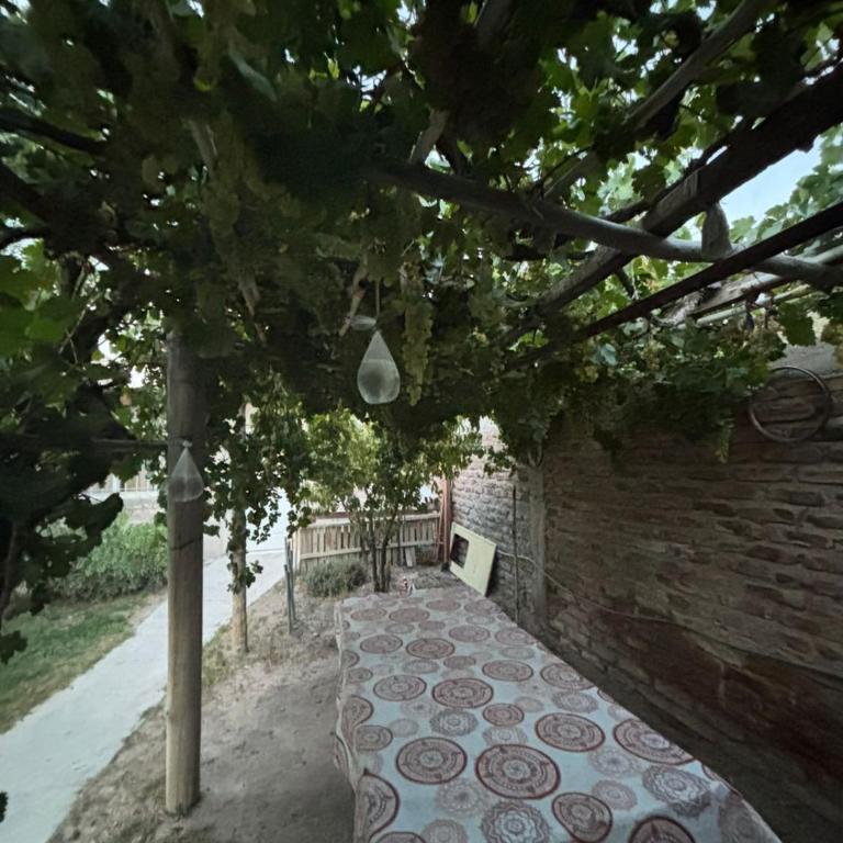 Lo de Celia - Apartamento de 1 dormitorio - 23