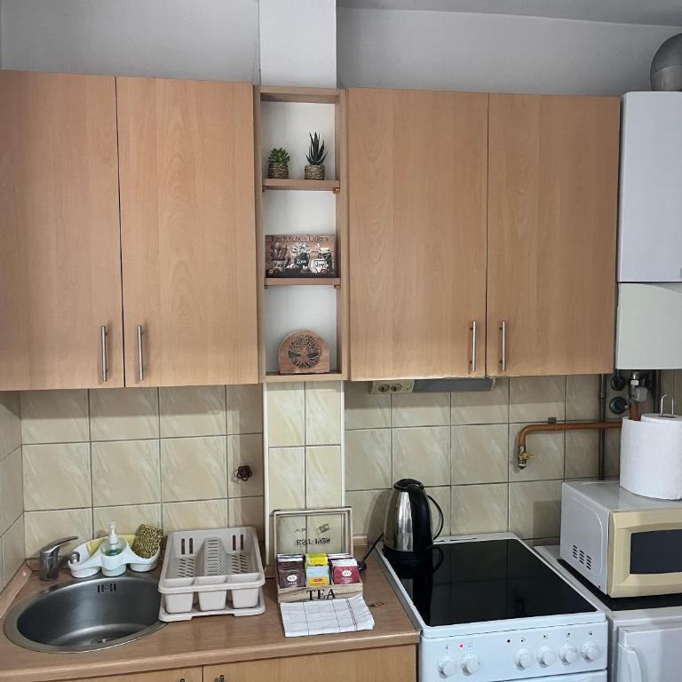 Sarajevo Flat for Rent - One-Bedroom Apartment - 5