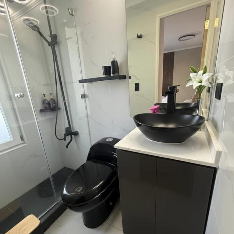 Departamento en Providencia - Three-Bedroom Apartment - 4