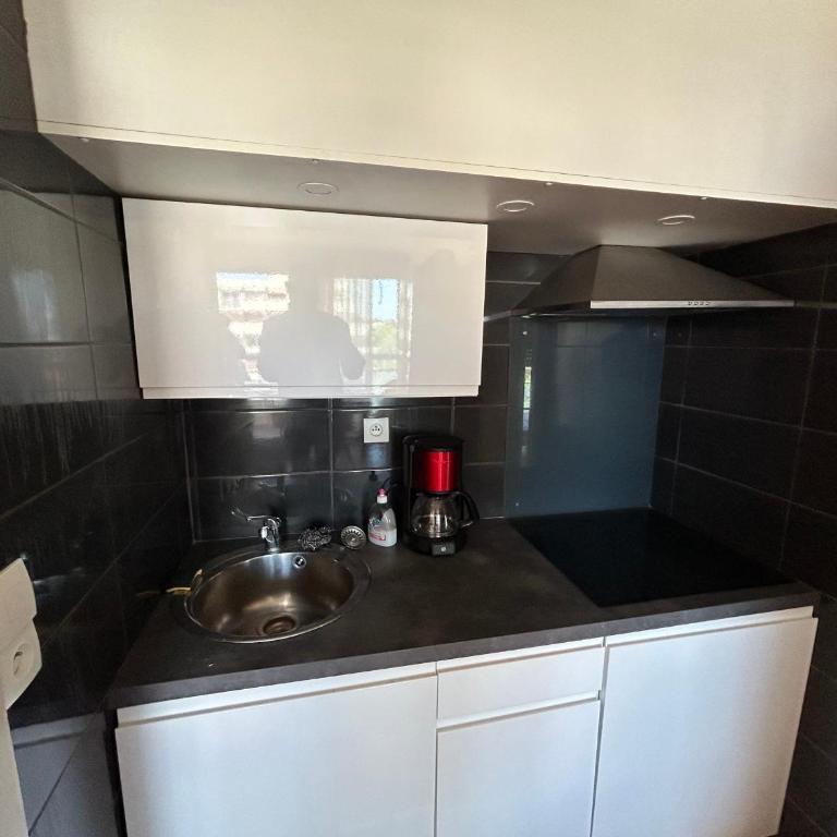 Appartement confortable vue mer - 4 pers. - FR-1-837-105 - Appartamento - 5