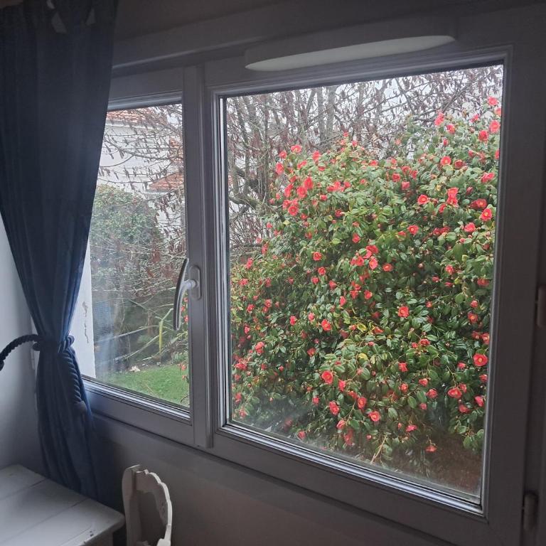 P'tite maison atypique avec terrasse - Casa con 1 Camera da Letto - 23