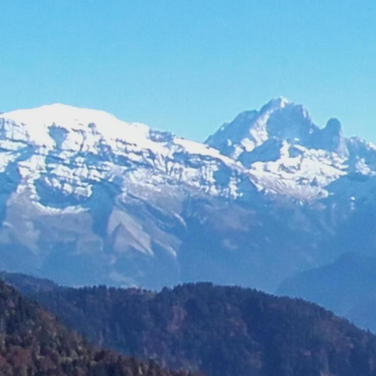 Les Terrasses du Mont blanc - Appartement avec Balcon - 17