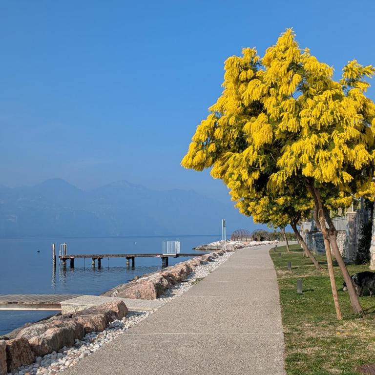 Casa Valle - Lago di Garda - Monolocale con Vista Giardino - 22