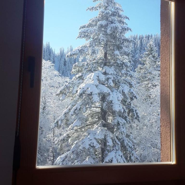 Apartments Aurelius - Apartment - 48