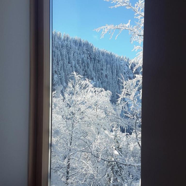 Apartments Aurelius - Apartment - 49