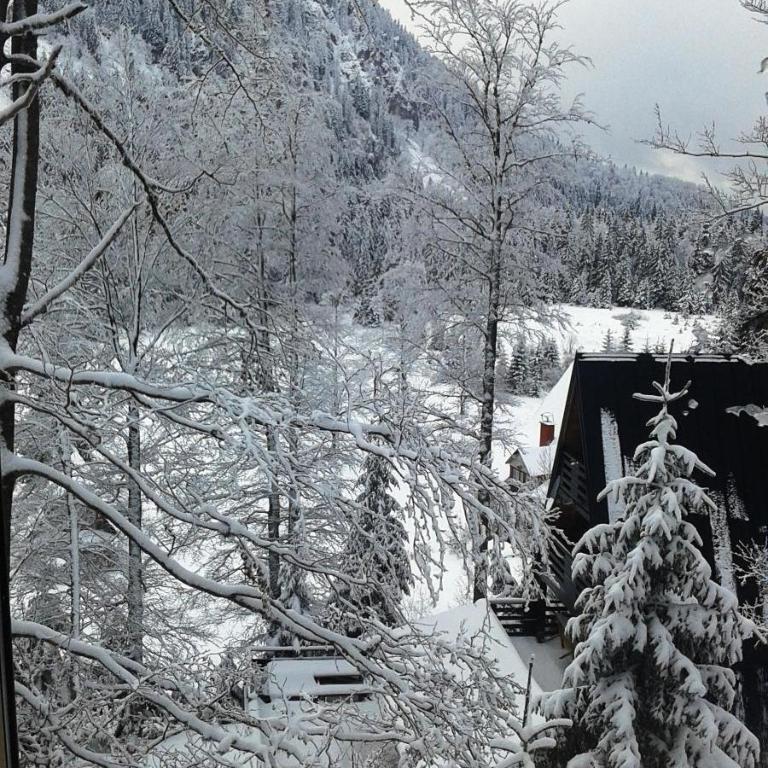 Apartments Aurelius - Apartment - 47