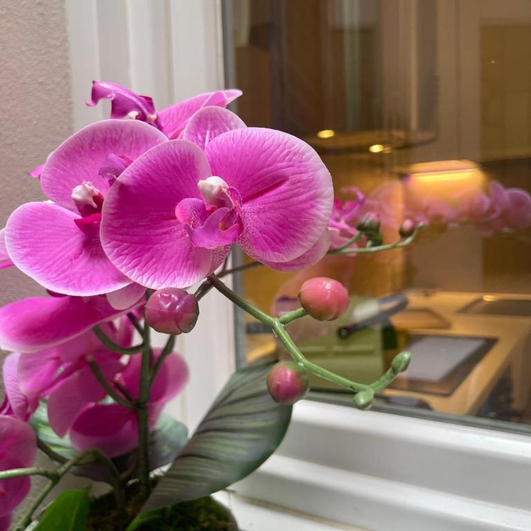 Happy Family Apartments Carignano - Appartamento con 1 Camera da Letto - 30