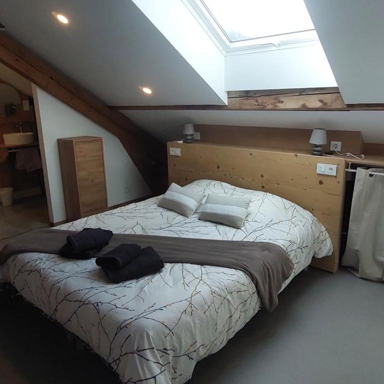 Spacieux duplex avec terrasse très apprécié des voyageurs au cœur de la Bresse - de 2 à 8 personnes - Apartment - 8