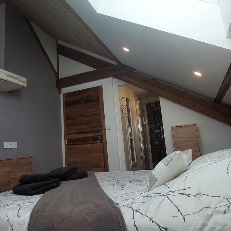 Spacieux duplex avec terrasse très apprécié des voyageurs au cœur de la Bresse - de 2 à 8 personnes - Apartment - 9