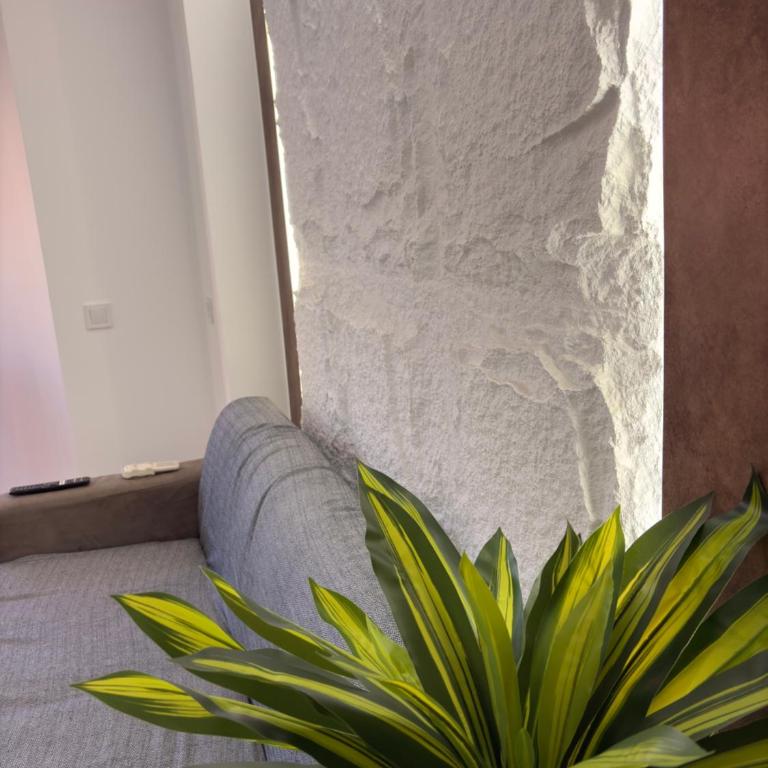 Premium apartment 50 steps from the beach - Apartamento de 1 dormitorio - 22