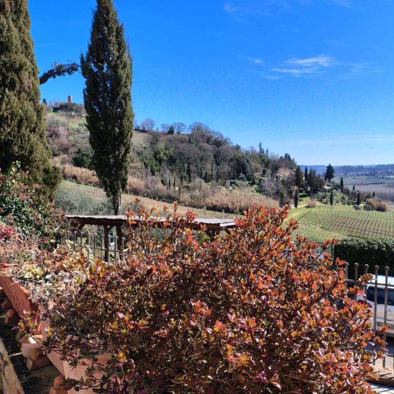 La Casina di Ancicucco 1 - Appartamento con 1 Camera da Letto - 1