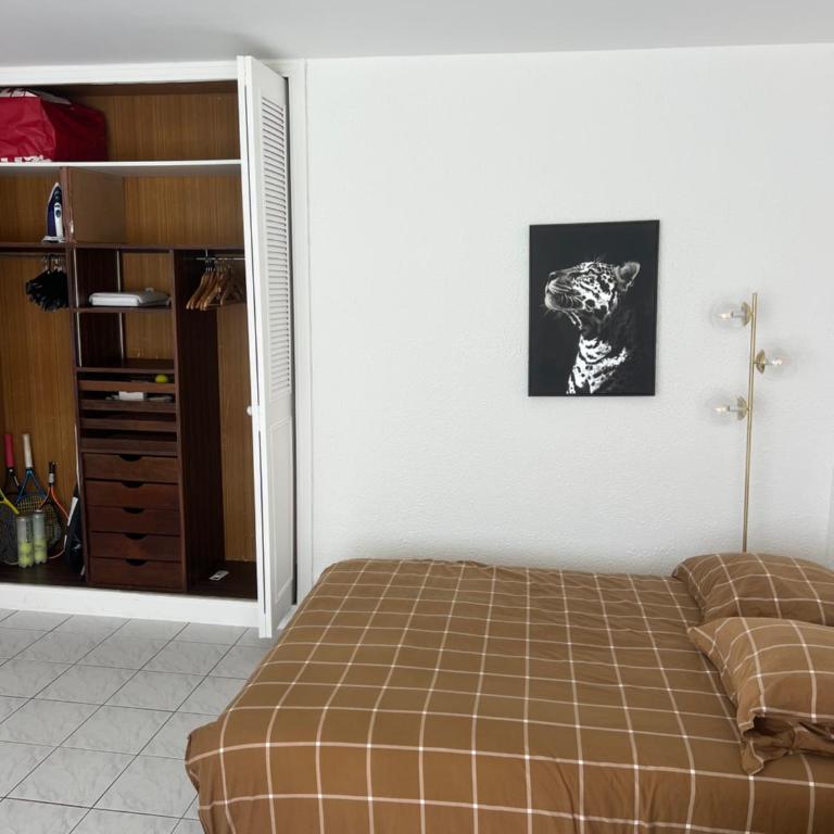 Eden Parc Tamaris 2 - Appartamento con 1 Camera da Letto - 11