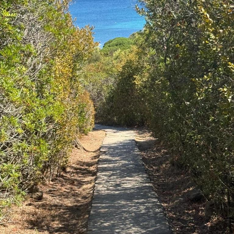Villaggio Terrata Golfo Aranci - Appartamento con 1 Camera da Letto - 45