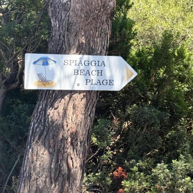 Villaggio Terrata Golfo Aranci - Appartamento con 1 Camera da Letto - 46