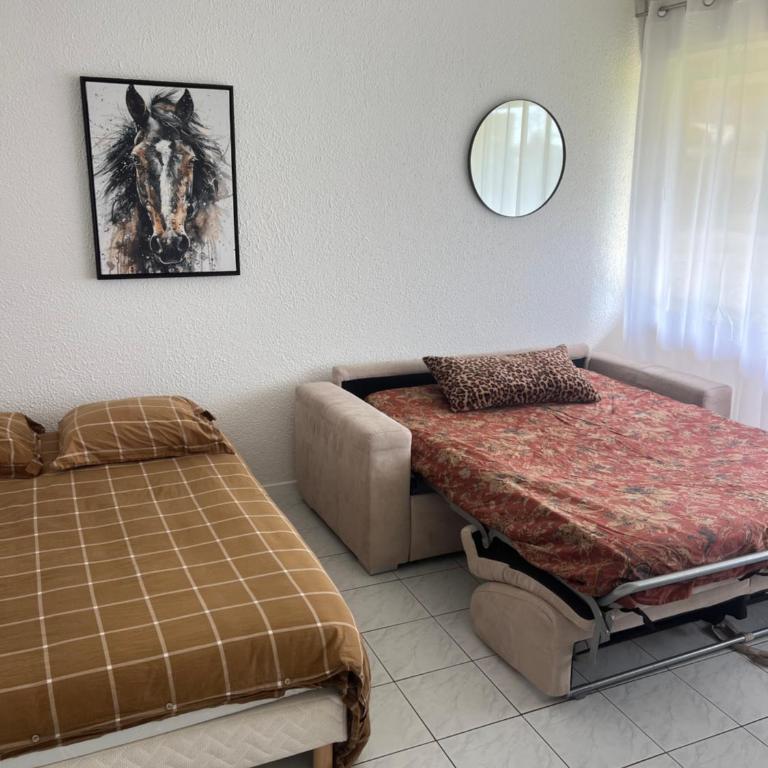 Eden Parc Tamaris 2 - Appartamento con 1 Camera da Letto - 12