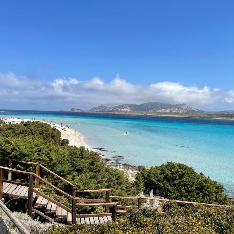 L15 Appartamento Asinara - Appartamento con 1 Camera da Letto - 27