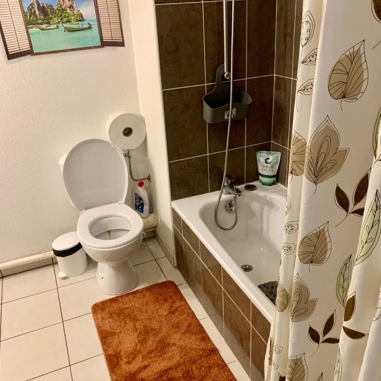 Agréable 2 pièces climatisé parking gratuit - Apartamento de 1 dormitorio - 5