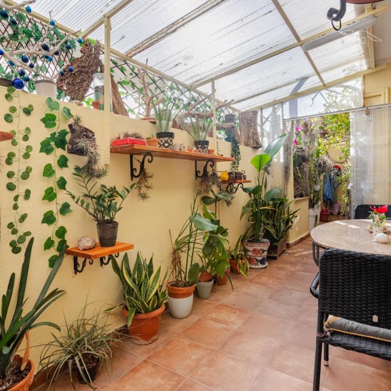 OASIS EPÍFITO URBANO Botanical Wellness Oasis near City of Arts & Sciencies - Standard Double Room with Shared Bathroom - 23