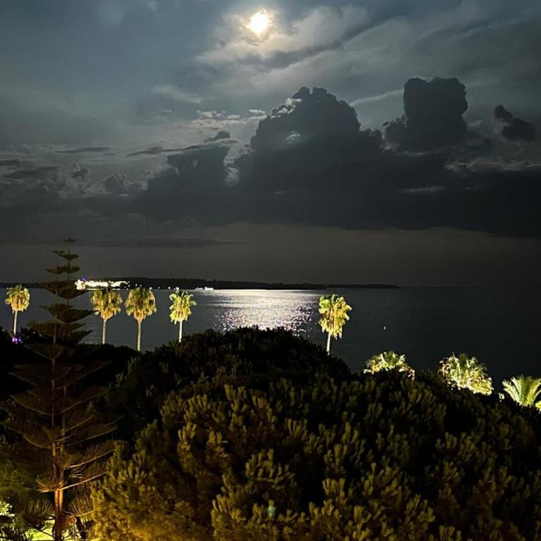 Reflets d'Azur - Vue mer, plage, neuf, moderne - Apartment - 40