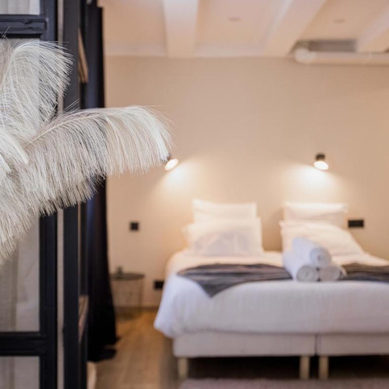 Bulle d'Amour - Jacuzzi, 10mn Palais&Plage, Centre - Appartement - 2