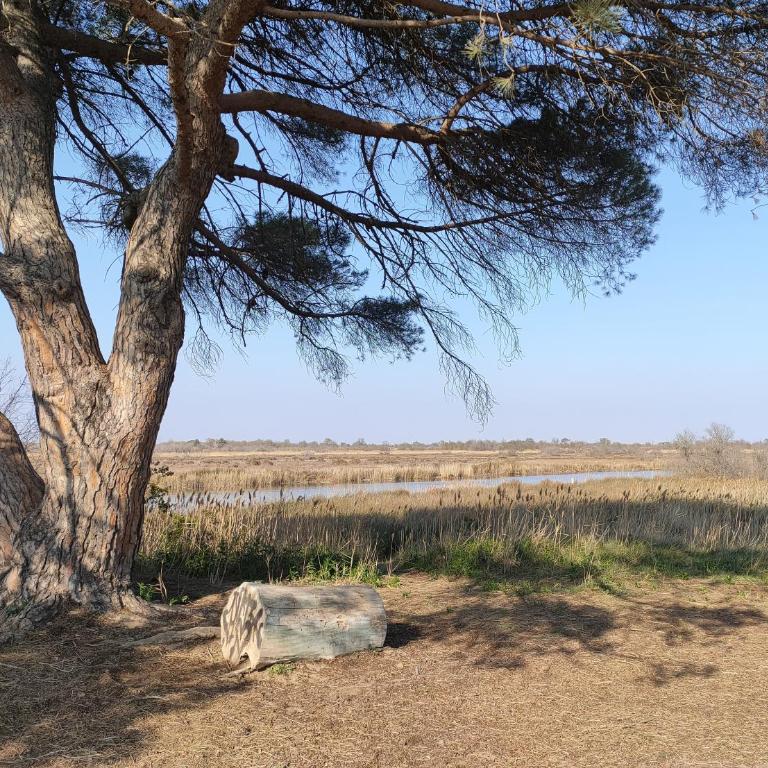 AGDE Appart Entre Mer et Rivière - Appartement 1 Chambre - 36