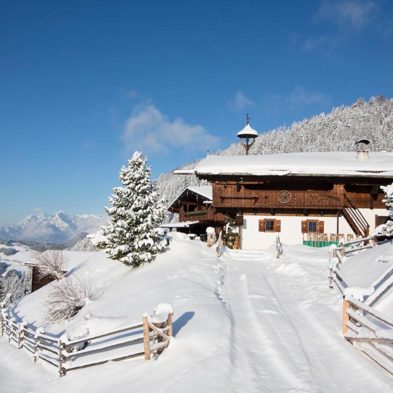 Chalet Bischofer- Bergwelt - Chalet mit Balkon und Terrasse (20 Erwachsene) - 68