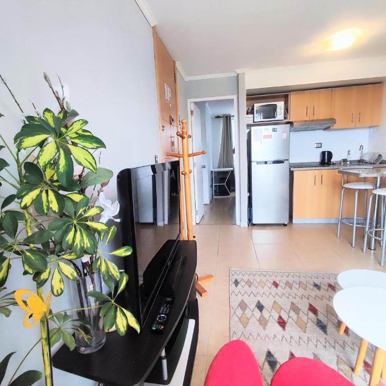 DEP VicM Cerca Playa Reñaca - One-Bedroom Apartment - 21
