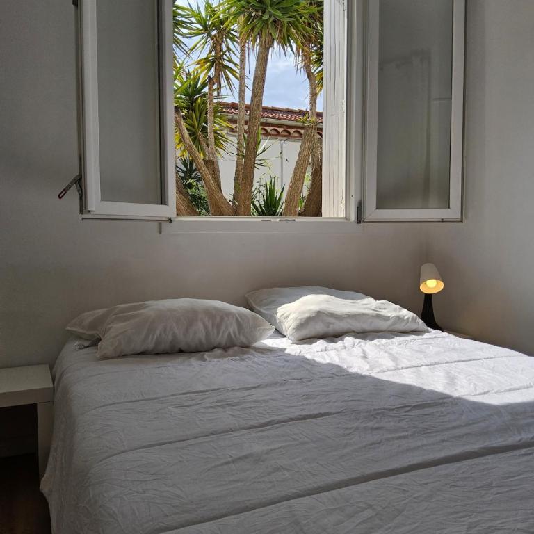 Barracuda of port terrace sea for 6 - Appartement 2 Chambres - 16
