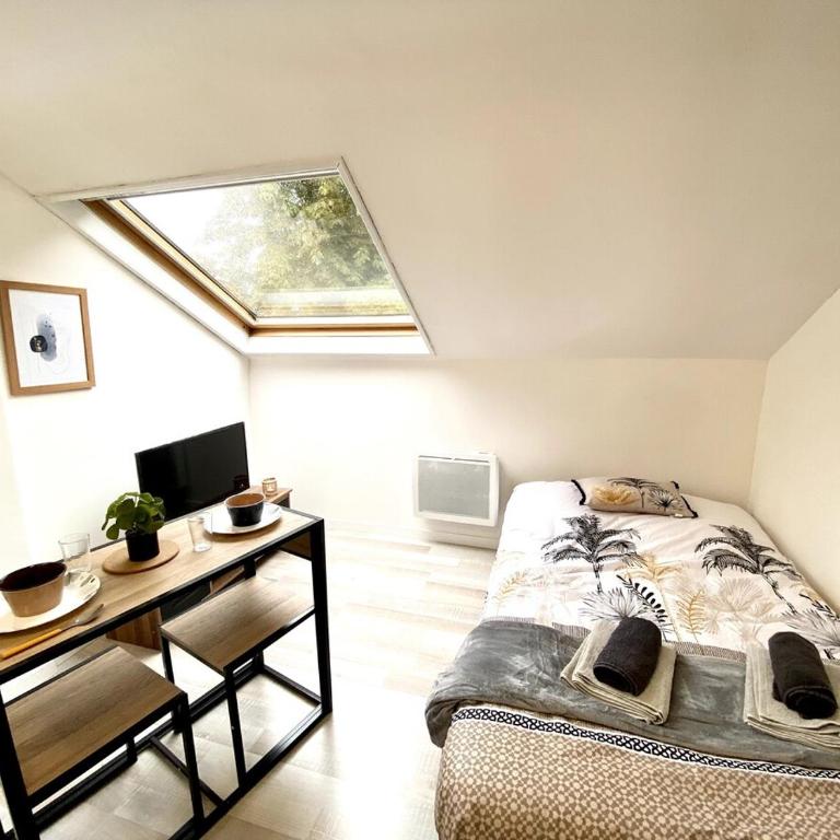 LeNova4 - Centre-ville - TV - WIFI - Appartement 1 Chambre - 4