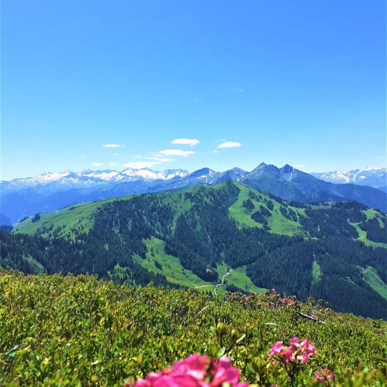 Alpenchalet Mitterlechner - Haus mit 5 Schlafzimmern - 20