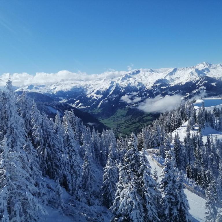 Alpenchalet Mitterlechner - Haus mit 5 Schlafzimmern - 22